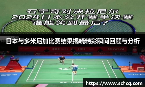 日本与多米尼加比赛结果揭晓精彩瞬间回顾与分析